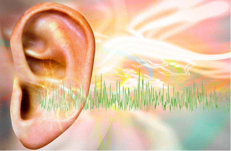 Ученые смогли провести замеры шума в ушах